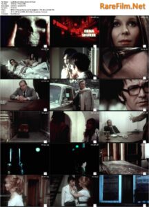 The Night of the Last Day (1973)