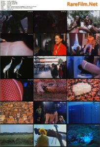 Forbidden World (1986) Mondo proibito
